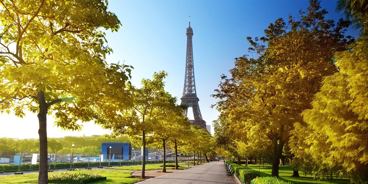 The Eiffel Tower on a Spring Day