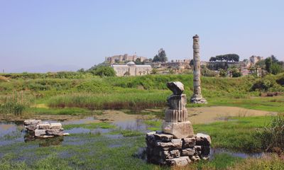 The archaeological site