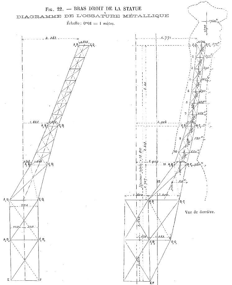 The backbone of the arm