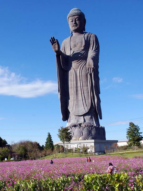 The Hushiku Buddha