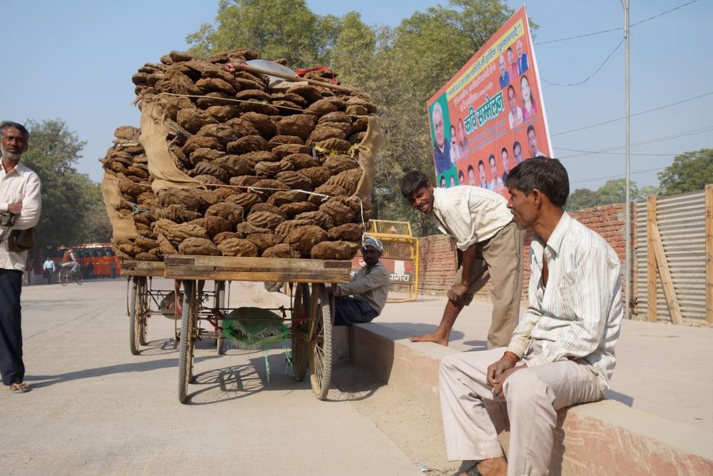 Dried dung used as heating fuel