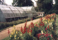 Lloyd Botanical Gardens